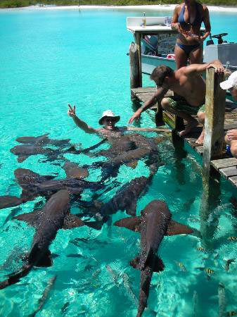 Destinations 45 miami beach nassau staniel cay miami beach 5